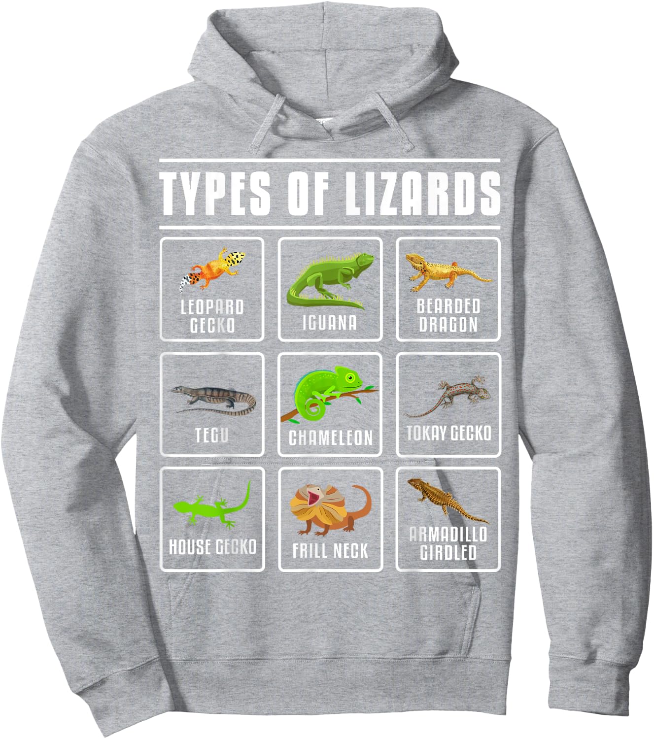 Types of Lizards Lizard Reptiles Hoodie - Hoodie | Ash
