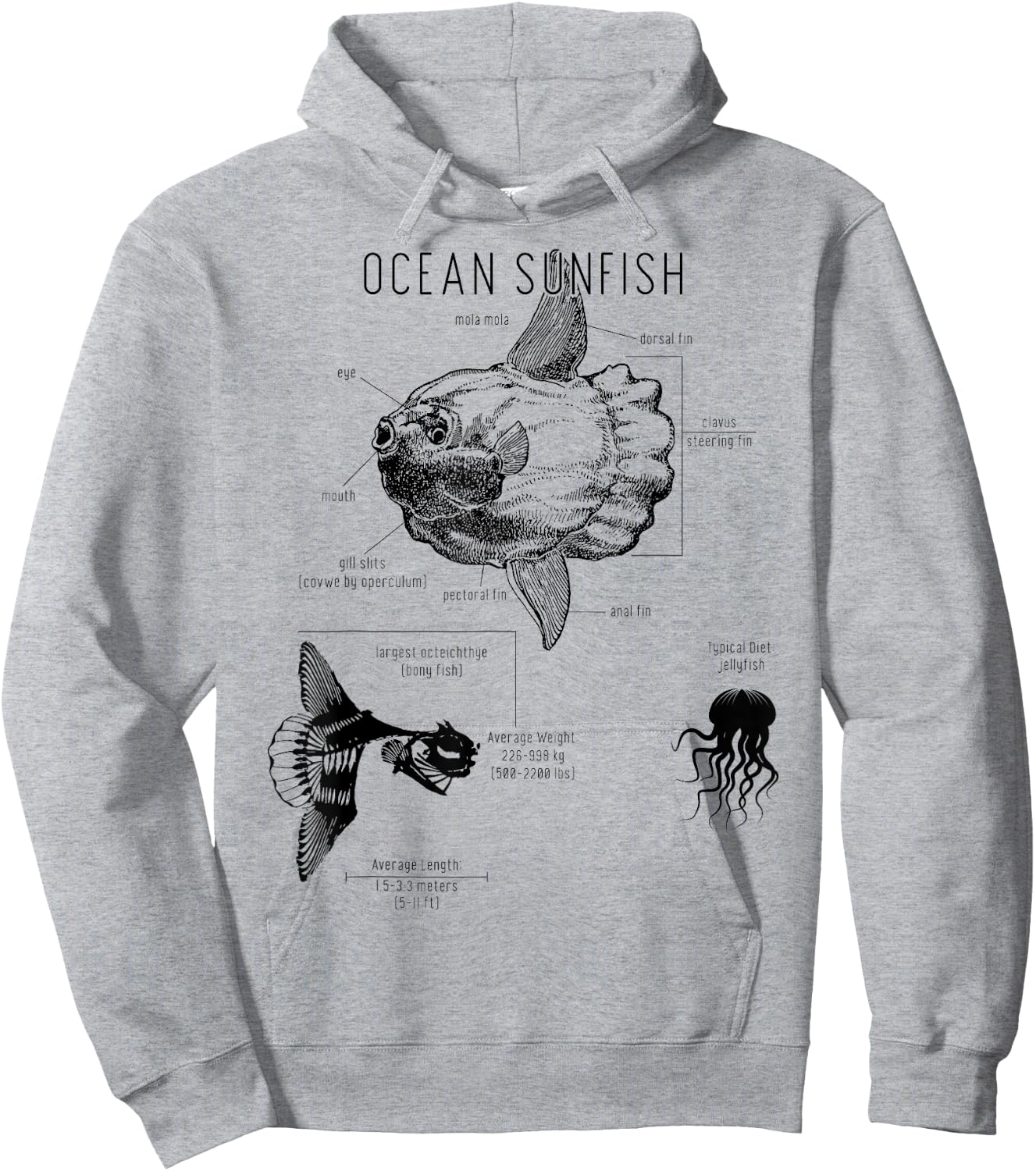 Ocean Sunfish Common Mola Anatomy Mola Mola Hoodie - Hoodie | Ash