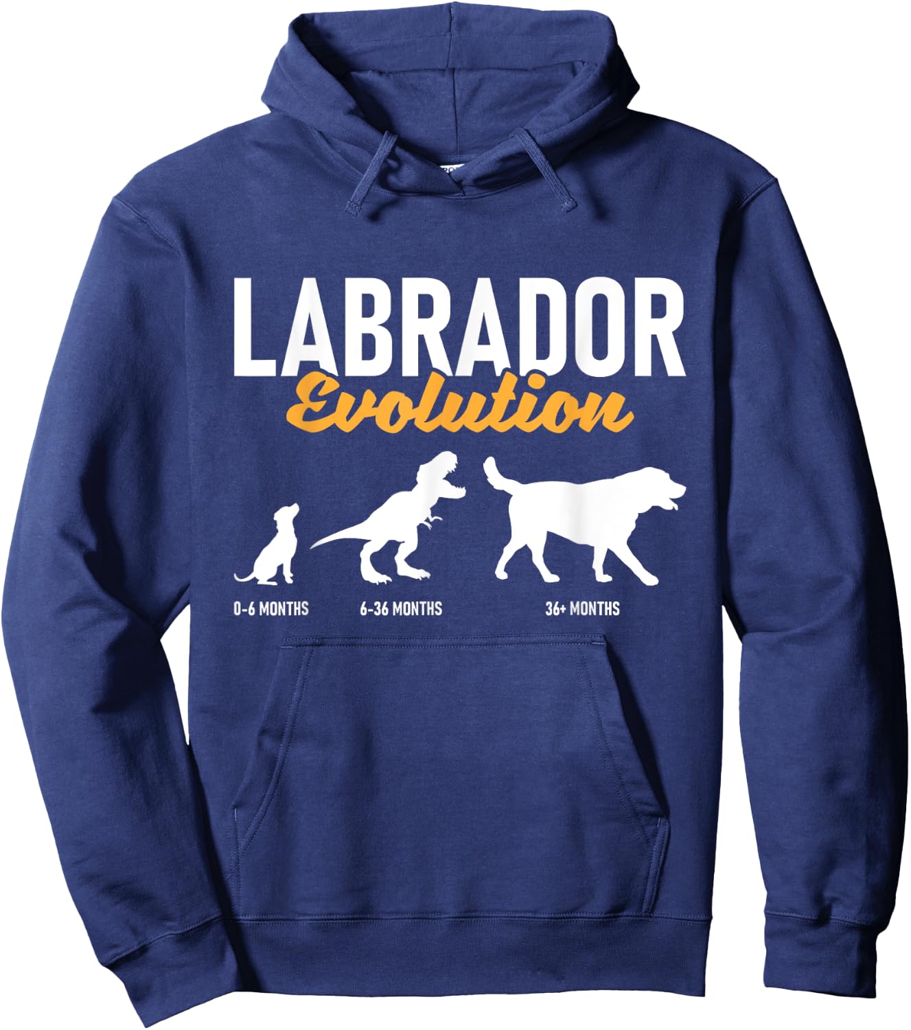 Labrador Evolution - Pet Owner Animal Dog Lover Hoodie - Hoodie | Navy