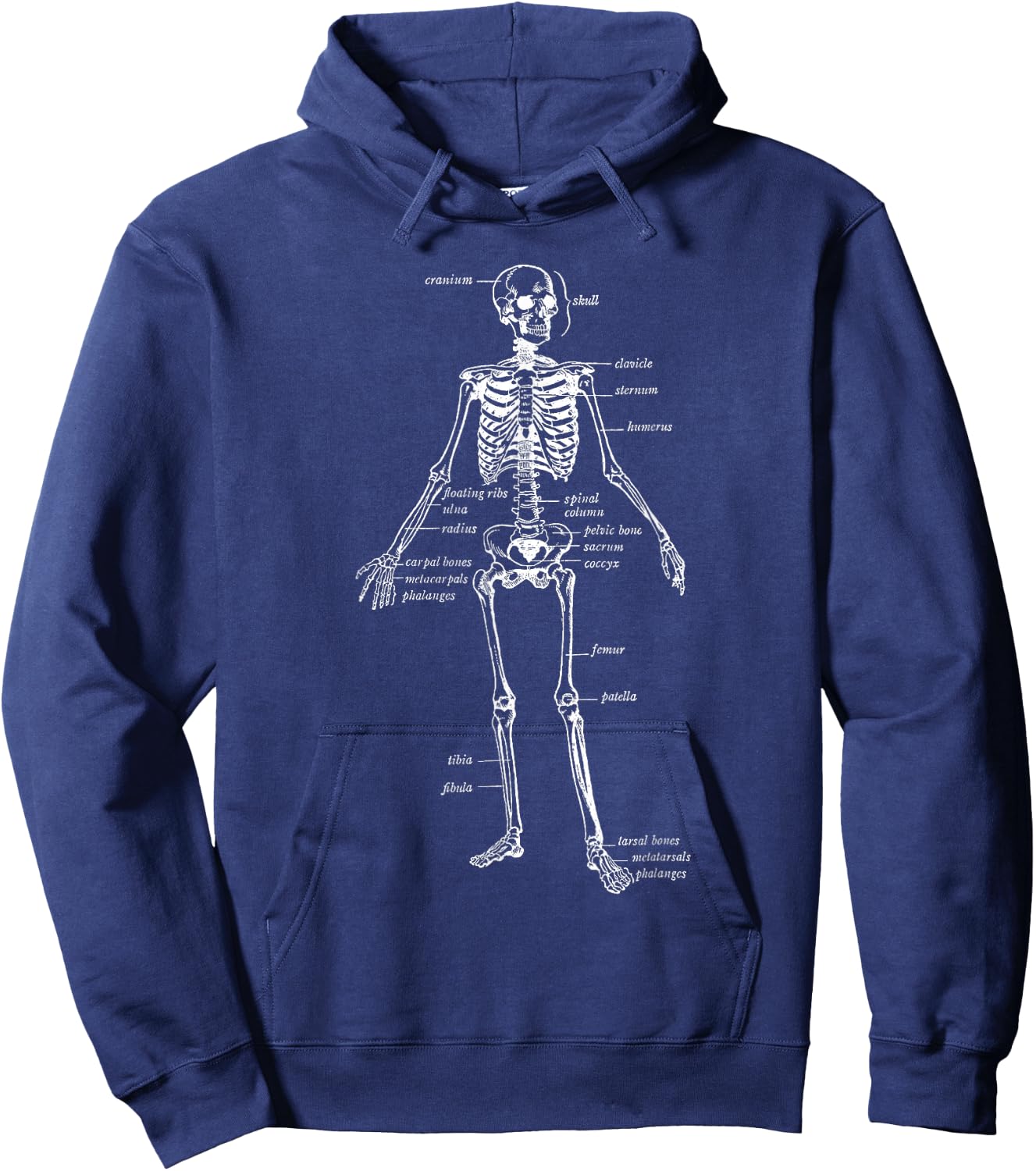 Skeleton Skeletal System Anatomy Names of Bones Hoodie - Hoodie | Navy