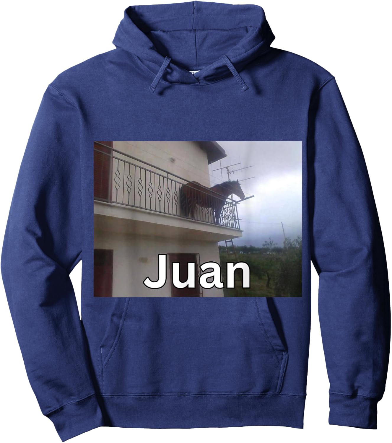 Funny Juan Horse on Balcony Meme Hoodie - Hoodie | Navy