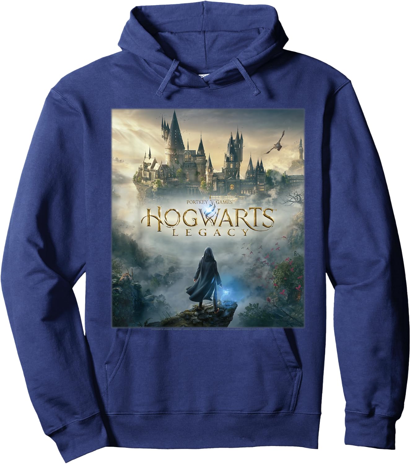 Harry Potter Hogwarts Legacy Poster Hoodie - Hoodie | Navy
