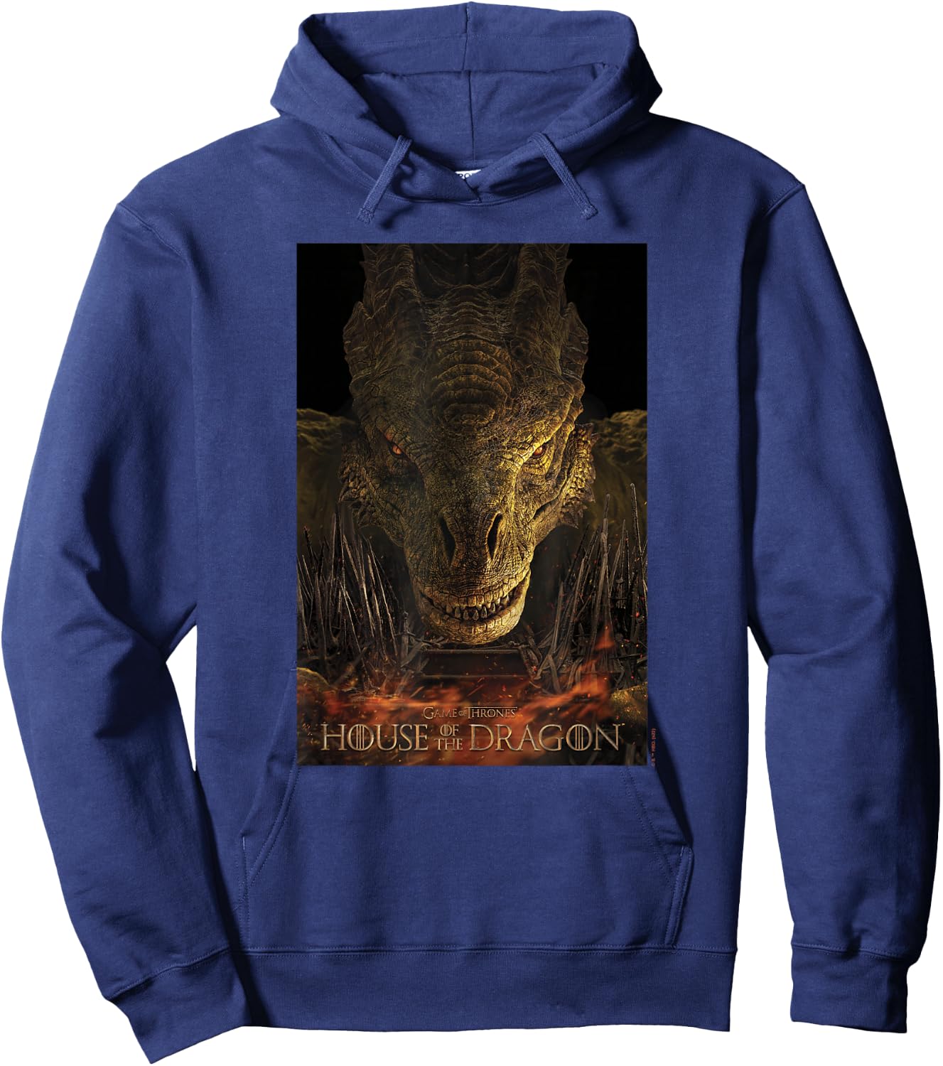 House of the Dragon Syrax Fire And Blood Poster Hoodie - Hoodie | Navy