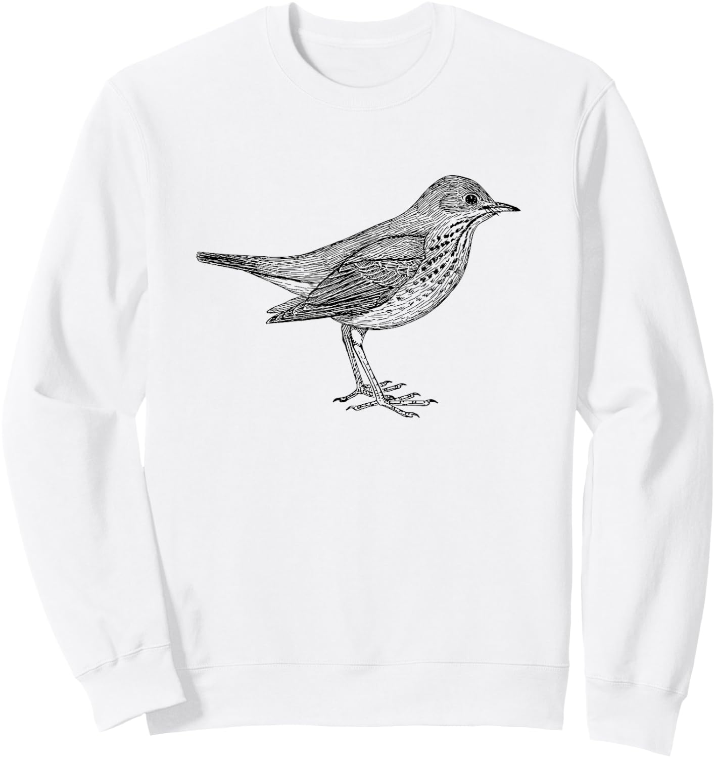 Hermit Thrush Bird Graphic Birdwatching Sweatshirt - Sweatshirt | White