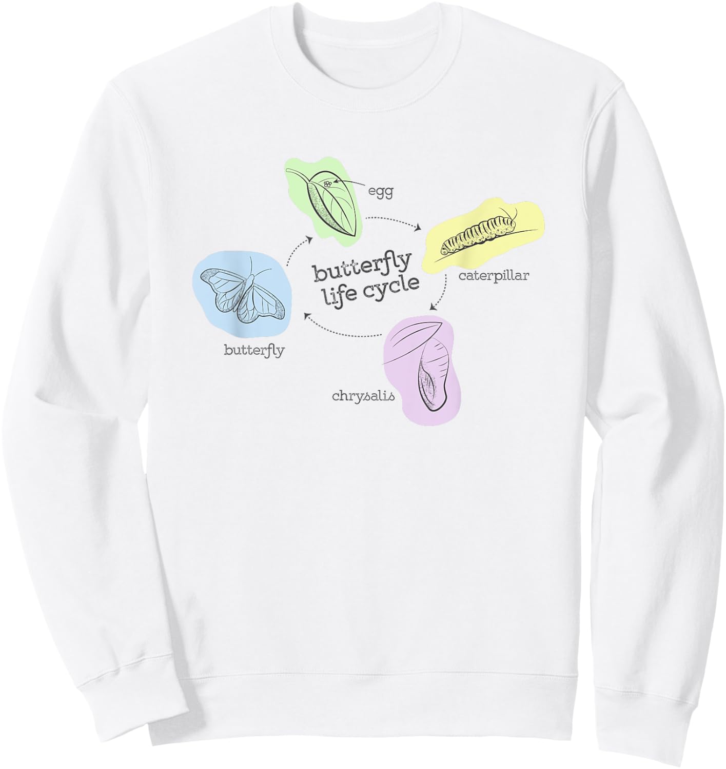 Butterfly Life Cycle Sweatshirt - Sweatshirt | White