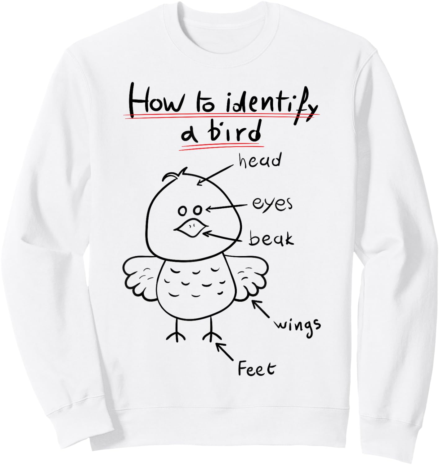 How To Identify A Bird, Funny Physiology Study Diagram Sweatshirt - Sweatshirt | White