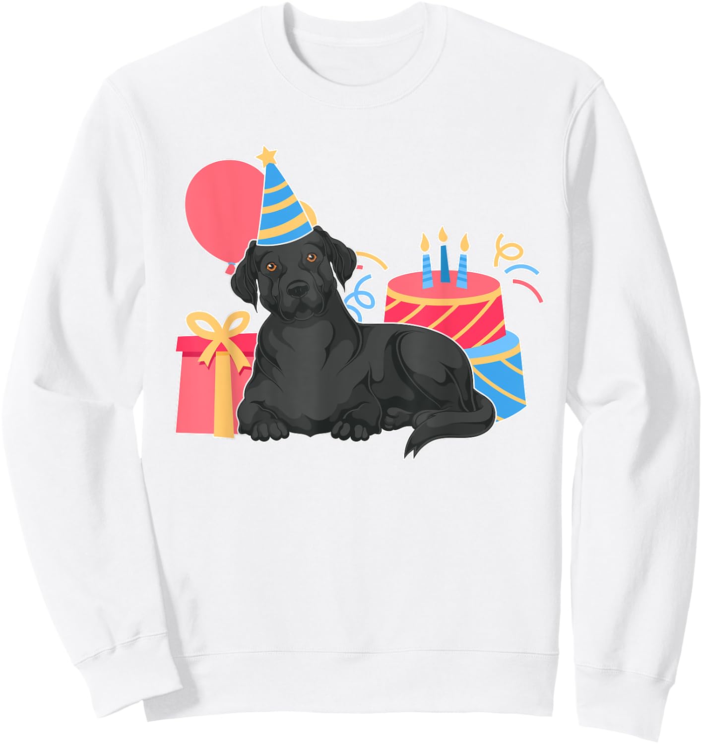 Black Labrador Lover Dog Owner Kids Birthday Party Black Lab Sweatshirt - Sweatshirt | White