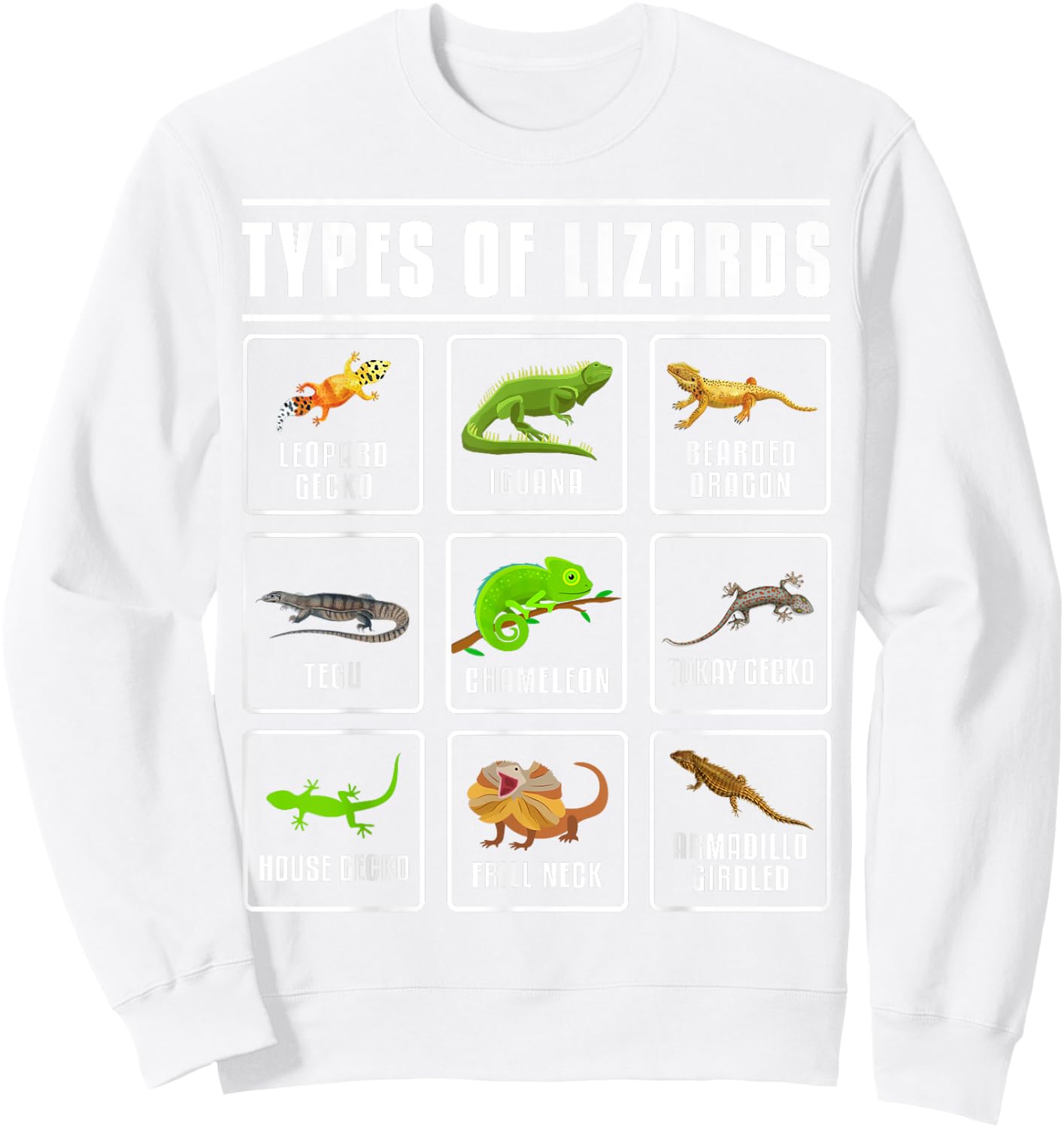 Types of Lizards Lizard Reptiles Sweatshirt - Sweatshirt | White