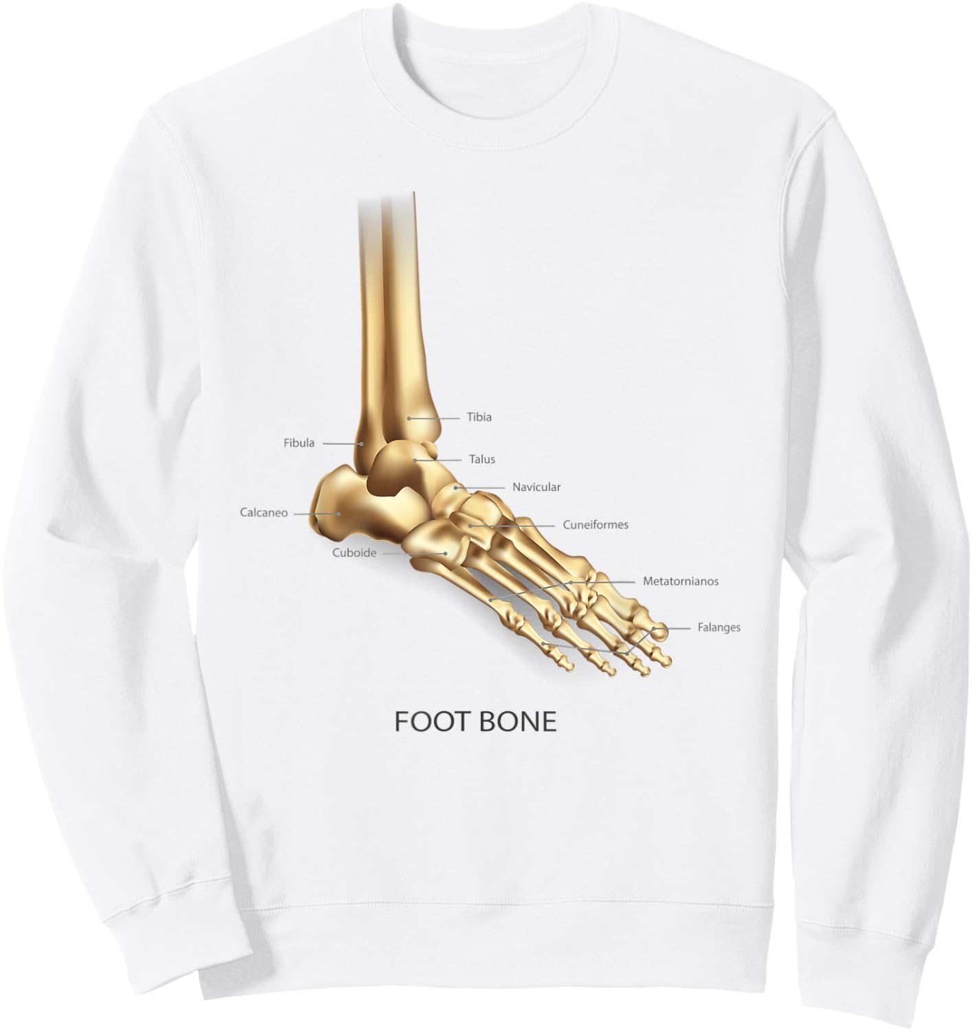 Funny Anatomy Foot Bon Human Anatomical Science Education Sweatshirt - Sweatshirt | White