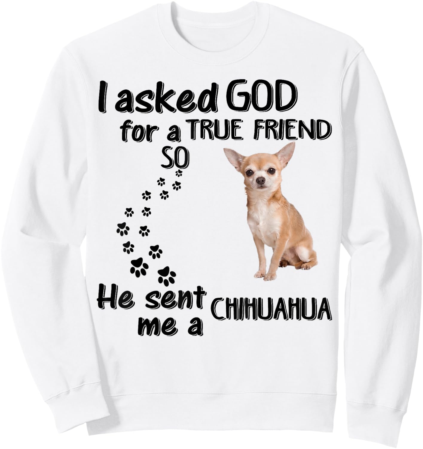 I Asked God For True Friend So He Sent Chihuahua Sweatshirt - Sweatshirt | White