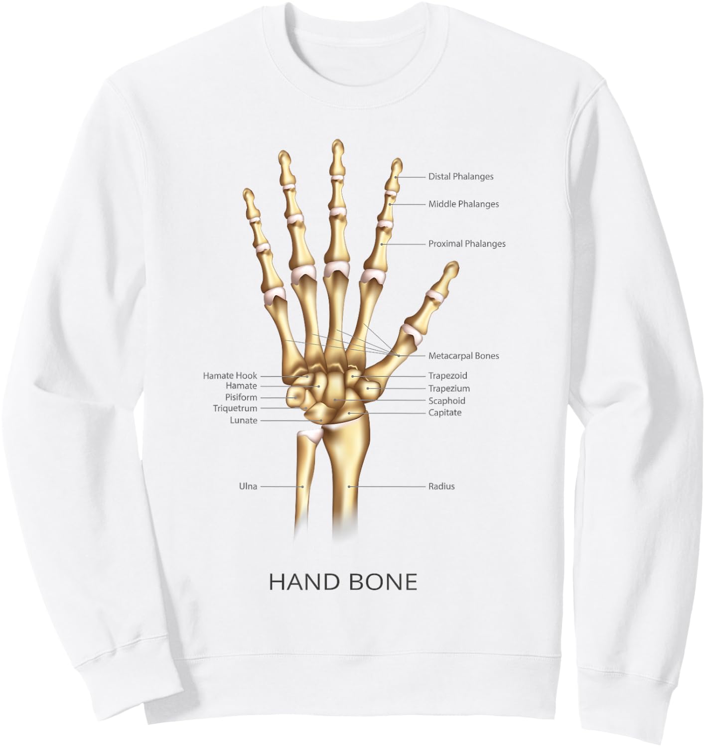 Funny Anatomy Hand Bone Human Anatomical Science Education Sweatshirt - Sweatshirt | White