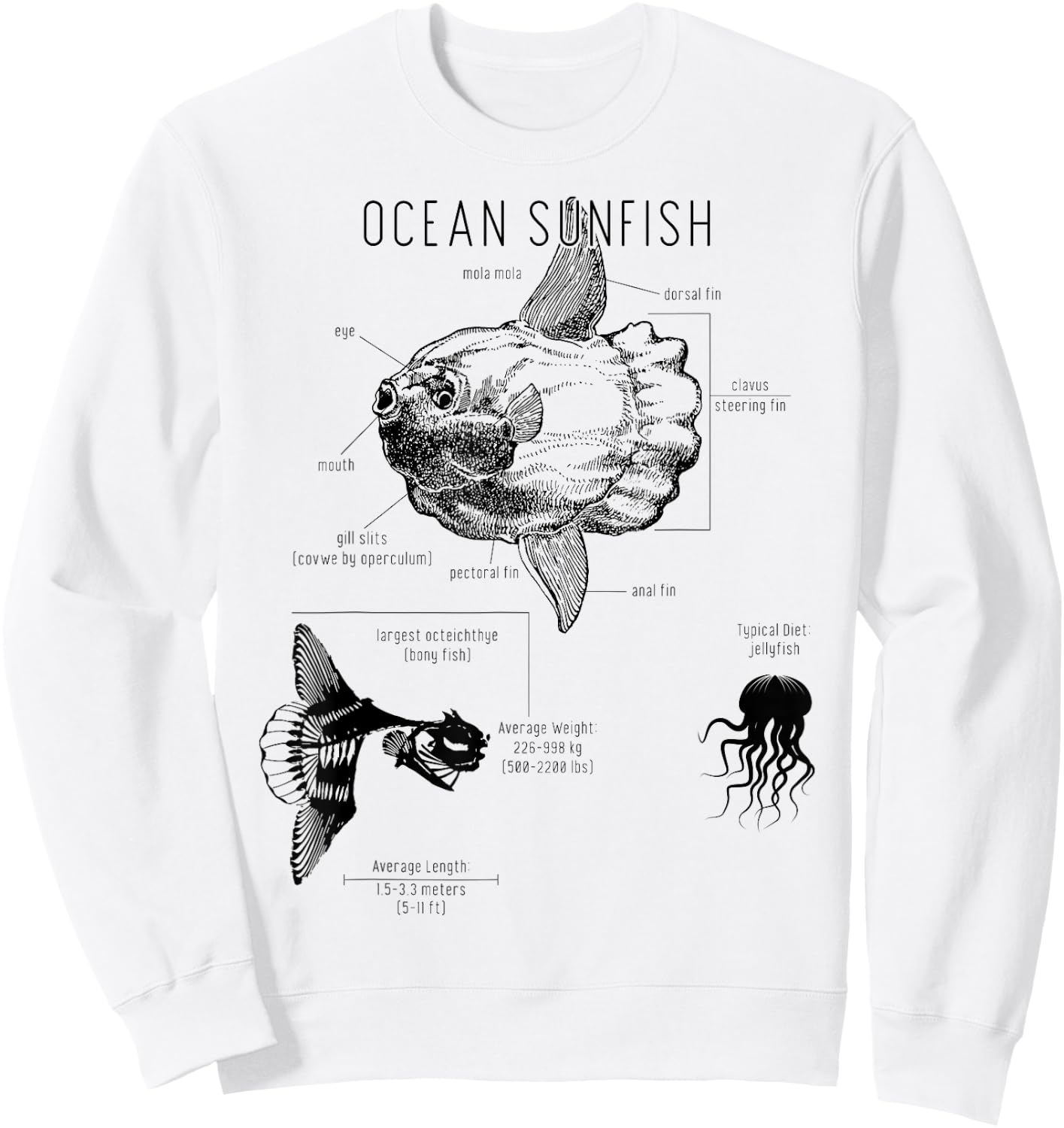 Ocean Sunfish Common Mola Anatomy Mola Mola Sweatshirt - Sweatshirt | White