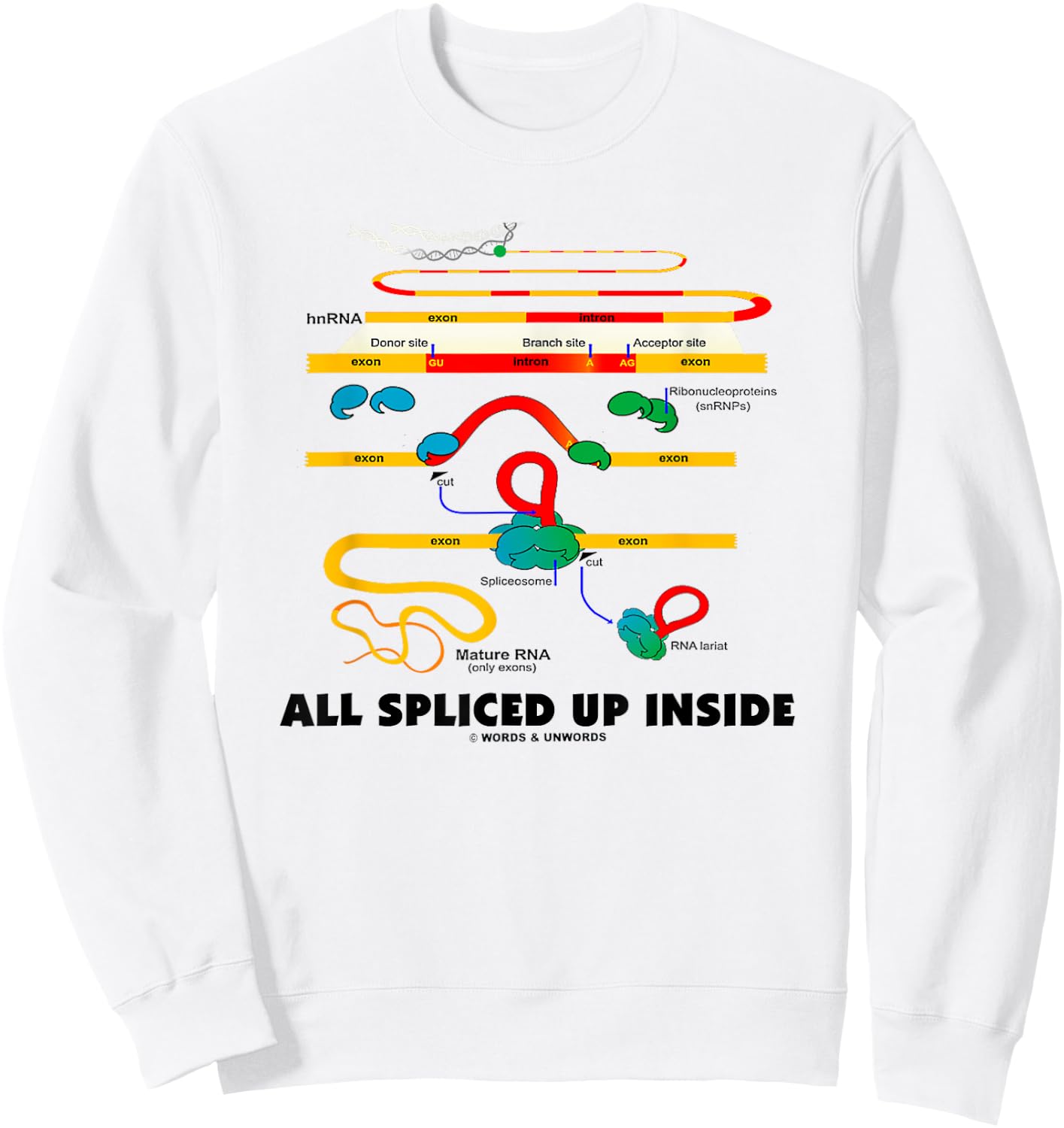 All Spliced Up Inside Mature RNA Gene Splicing Geek Humor Sweatshirt - Sweatshirt | White