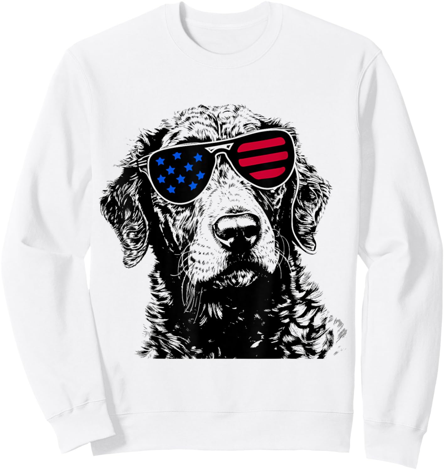 Chesapeake Bay Retriever Dog 4th July America USA Flag Kids Men Sweatshirt - Sweatshirt | White