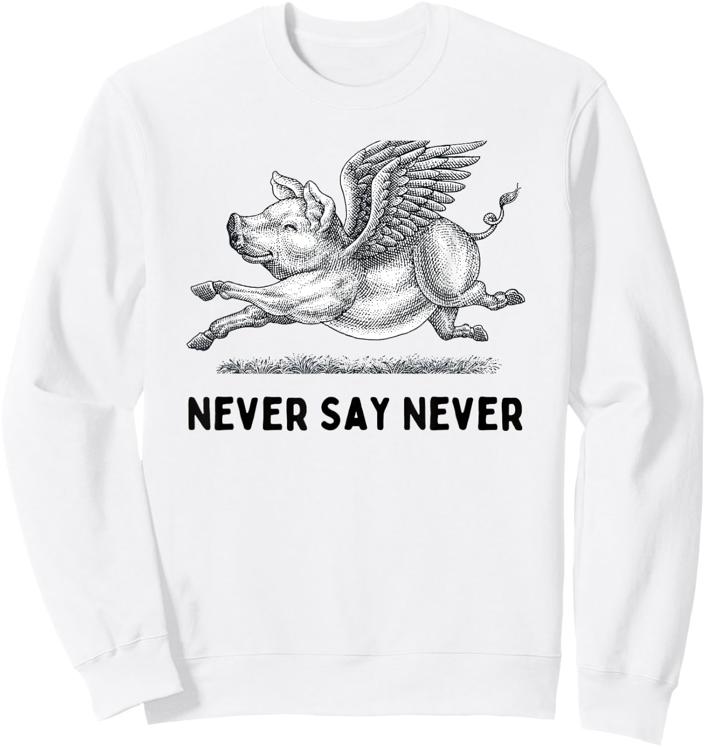 Never Say Never Inspiring Flying Pig Embrace Impossibity Sweatshirt - Sweatshirt | White