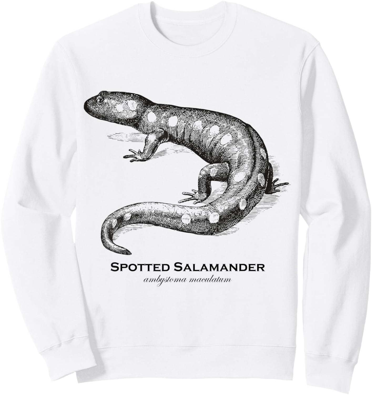 Vintage Animal Retro Wildlife Spotted Salamander Sweatshirt - Sweatshirt | White