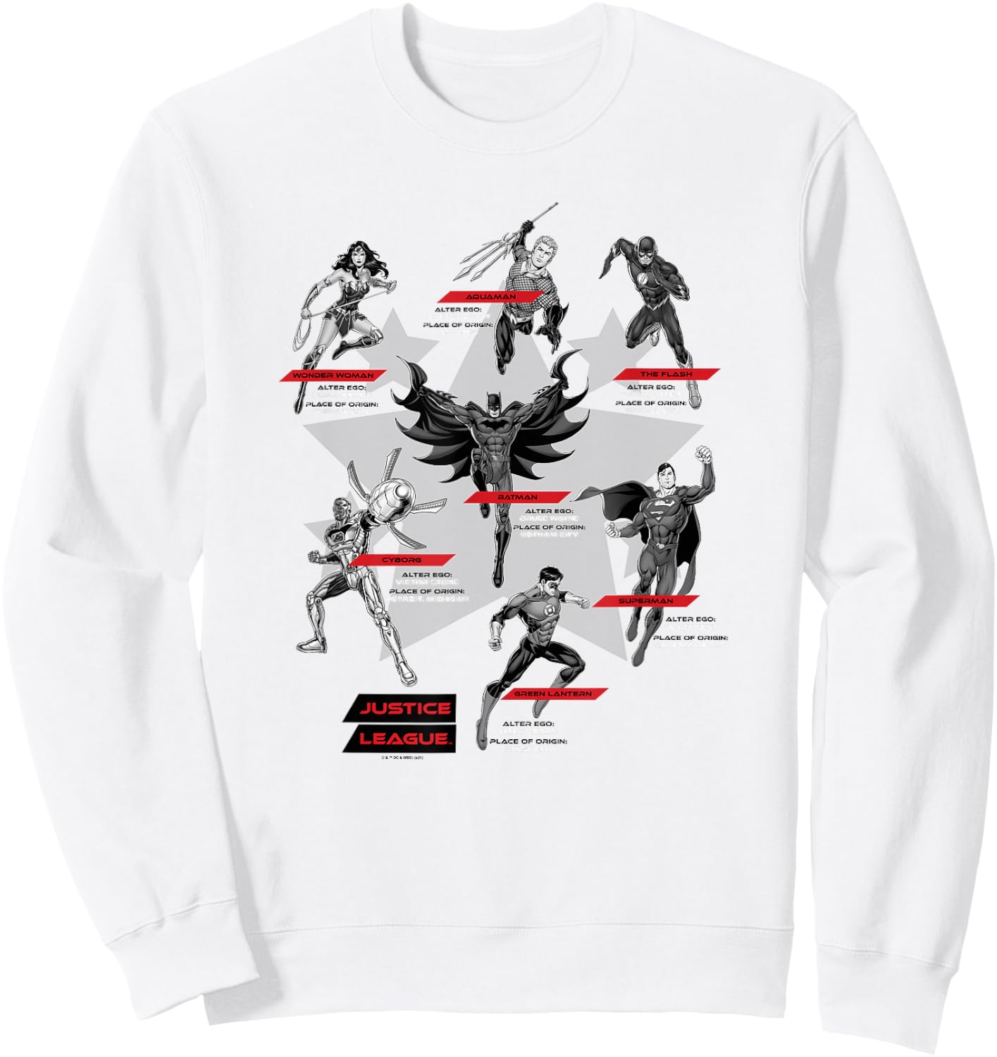 DC Comics Justice League Group Shot Members Logo Sweatshirt - Sweatshirt | White