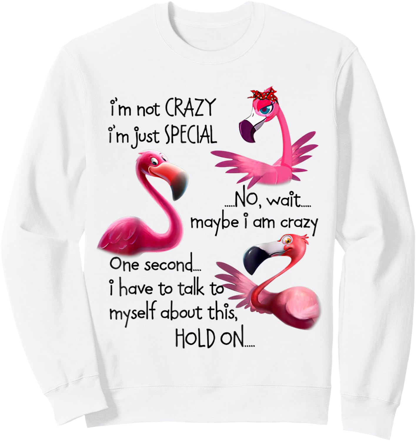 I'm Not Crazy I'm Just Special Funny Flamingo Saying Sweatshirt - Sweatshirt | White