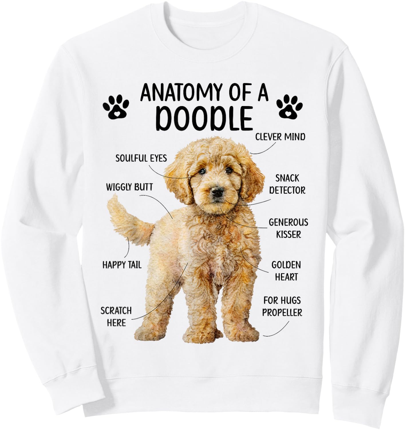 Anatomy of A Doodle Dog Doodle Owner Goldendoodle Mom Sweatshirt - Sweatshirt | White