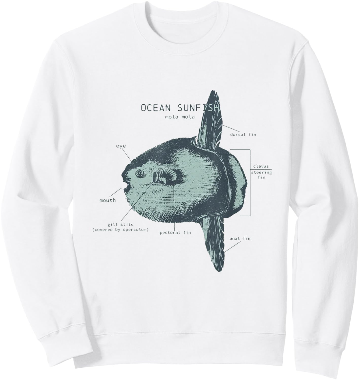 Ocean Sunfish Anatomy Marine Biologist Sweatshirt - Sweatshirt | White