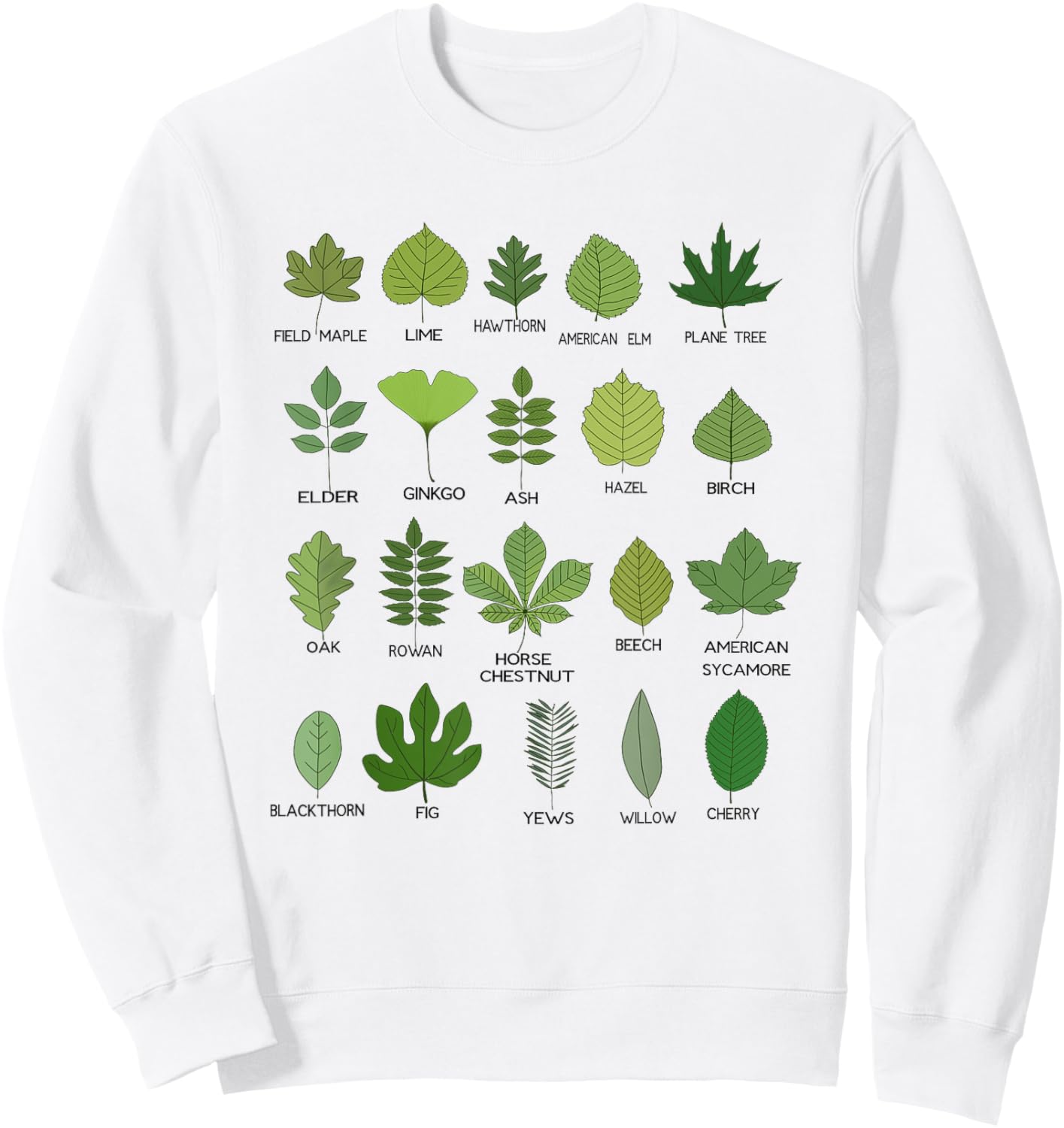 Different types of leaf shapes, Leaf classification Sweatshirt - Sweatshirt | White