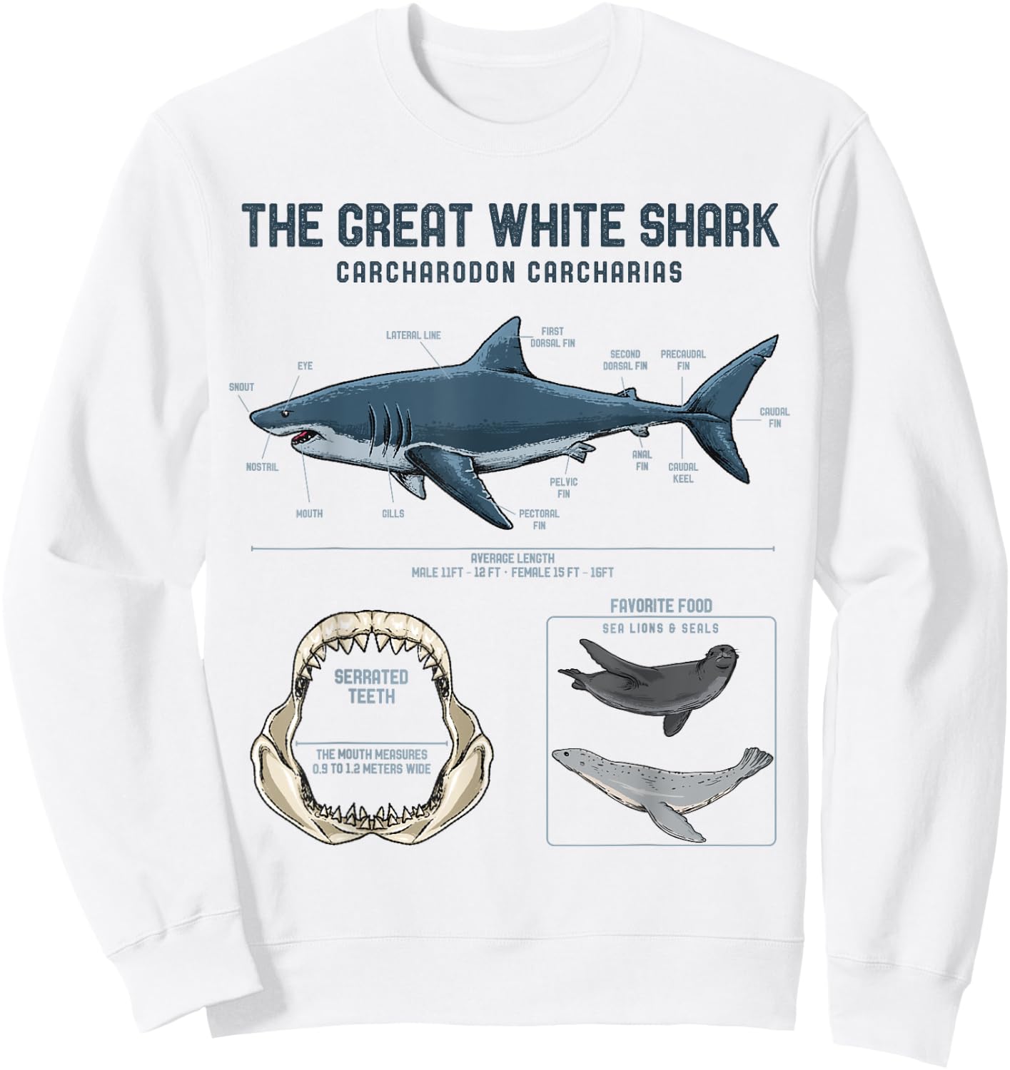 Great White Shark Anatomy Shirt - Shark Marine Biologist Sweatshirt - Sweatshirt | White