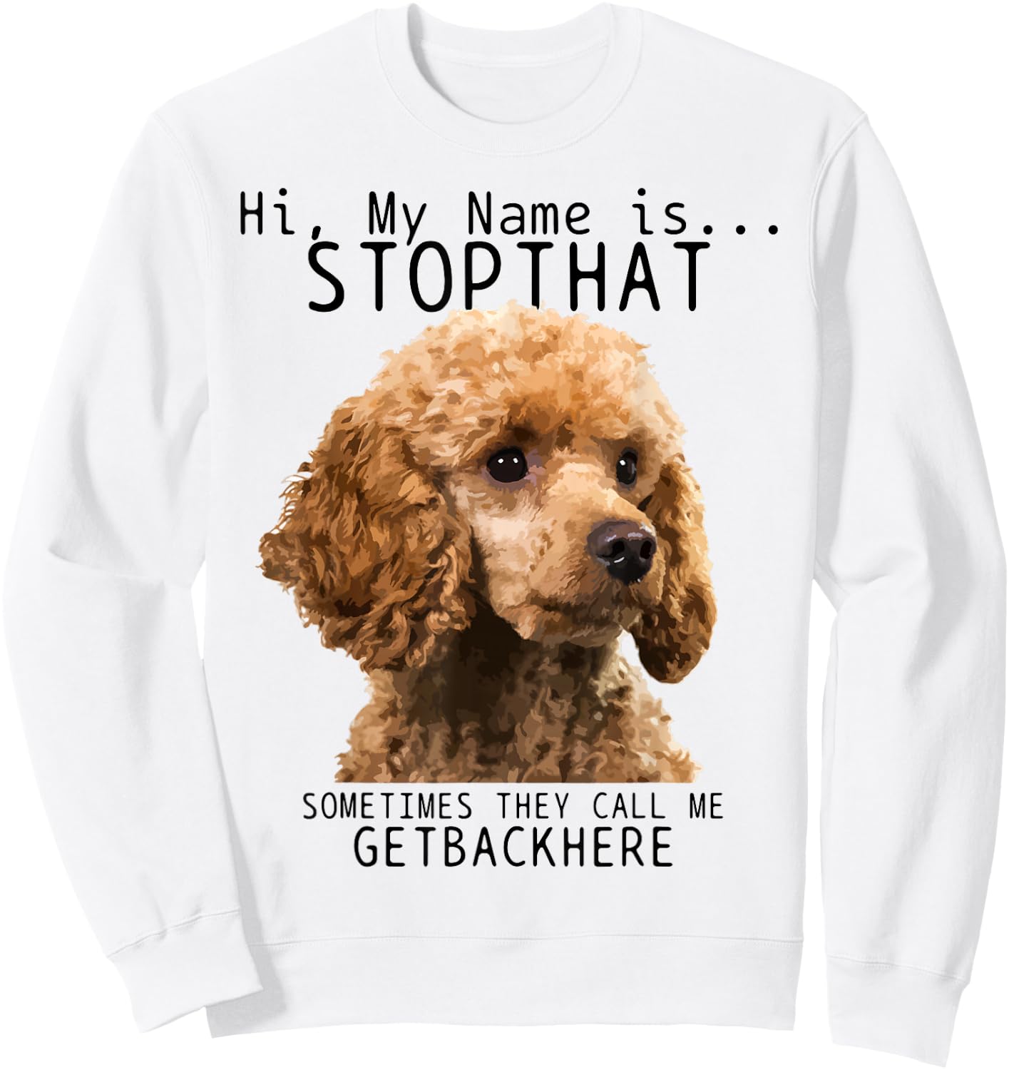 Poodle Hi My Name Is Stop That Cute Funny Dog Poodle Mom Sweatshirt - Sweatshirt | White