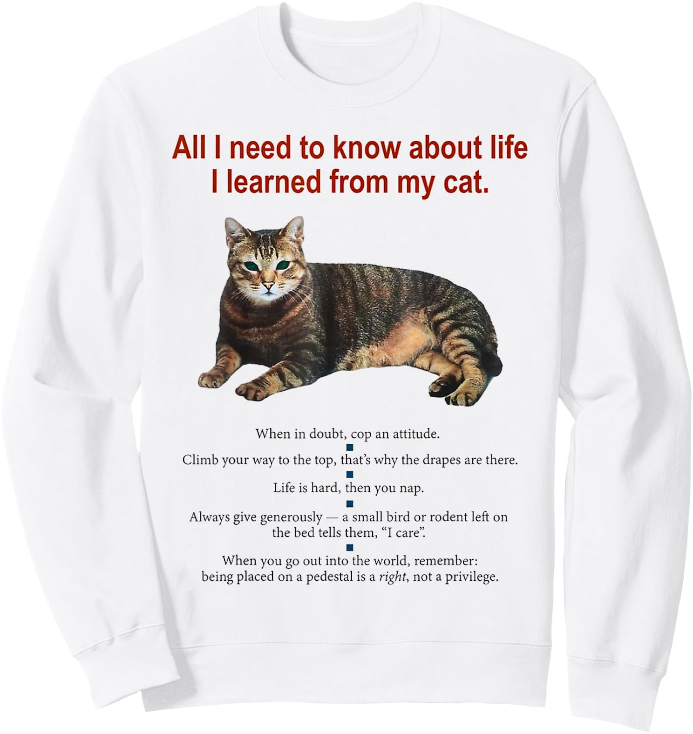 Everything I Need To Know About Life I Learned From My Cat Women Sweatshirt - Sweatshirt | White