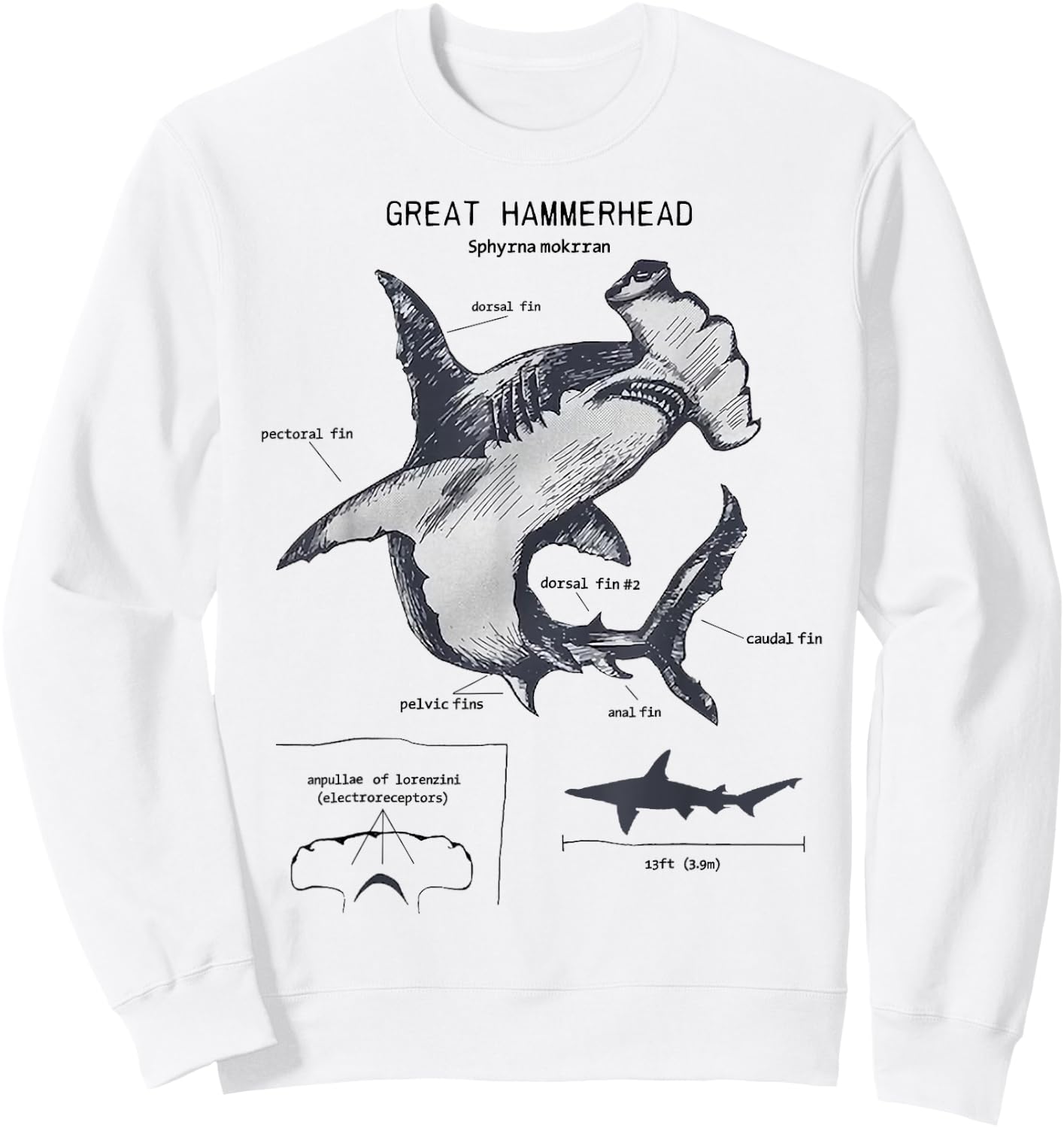Great Hammerhead Anatomy Marine Biologist Sweatshirt - Sweatshirt | White