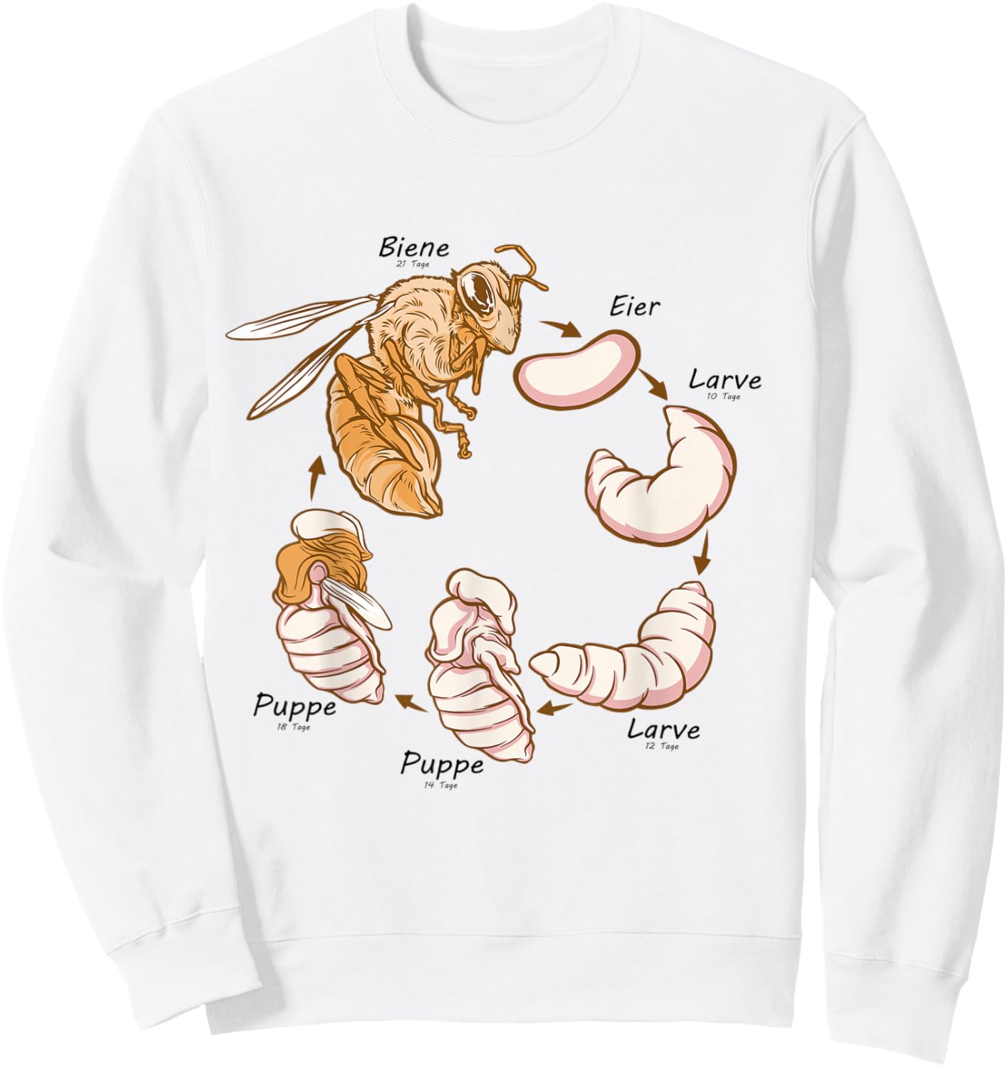 Life cycle of the bee Montessori material Sweatshirt - Sweatshirt | White
