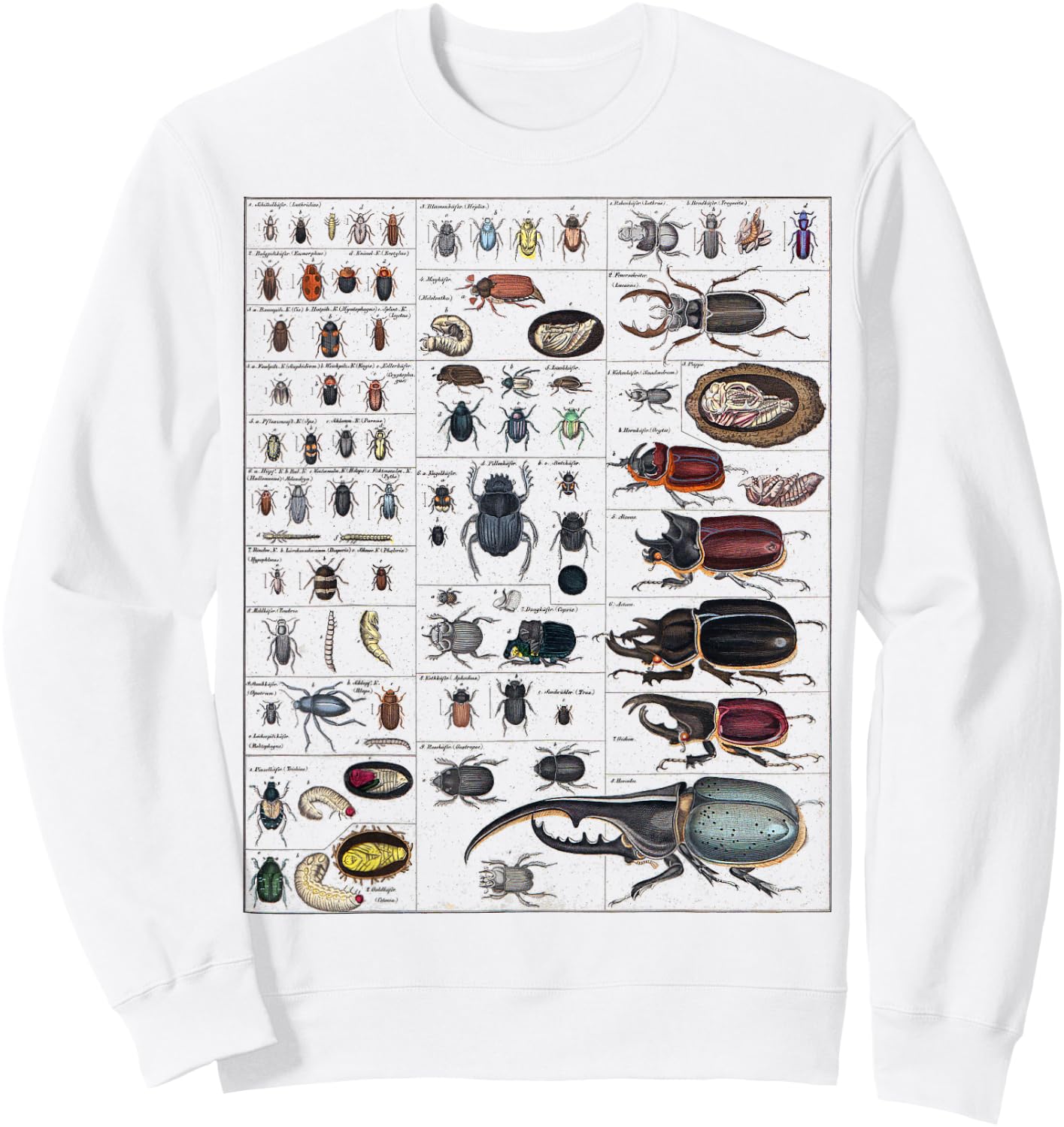 Insects Collection Species Bugs vintage Chart Entomology Sweatshirt - Sweatshirt | White