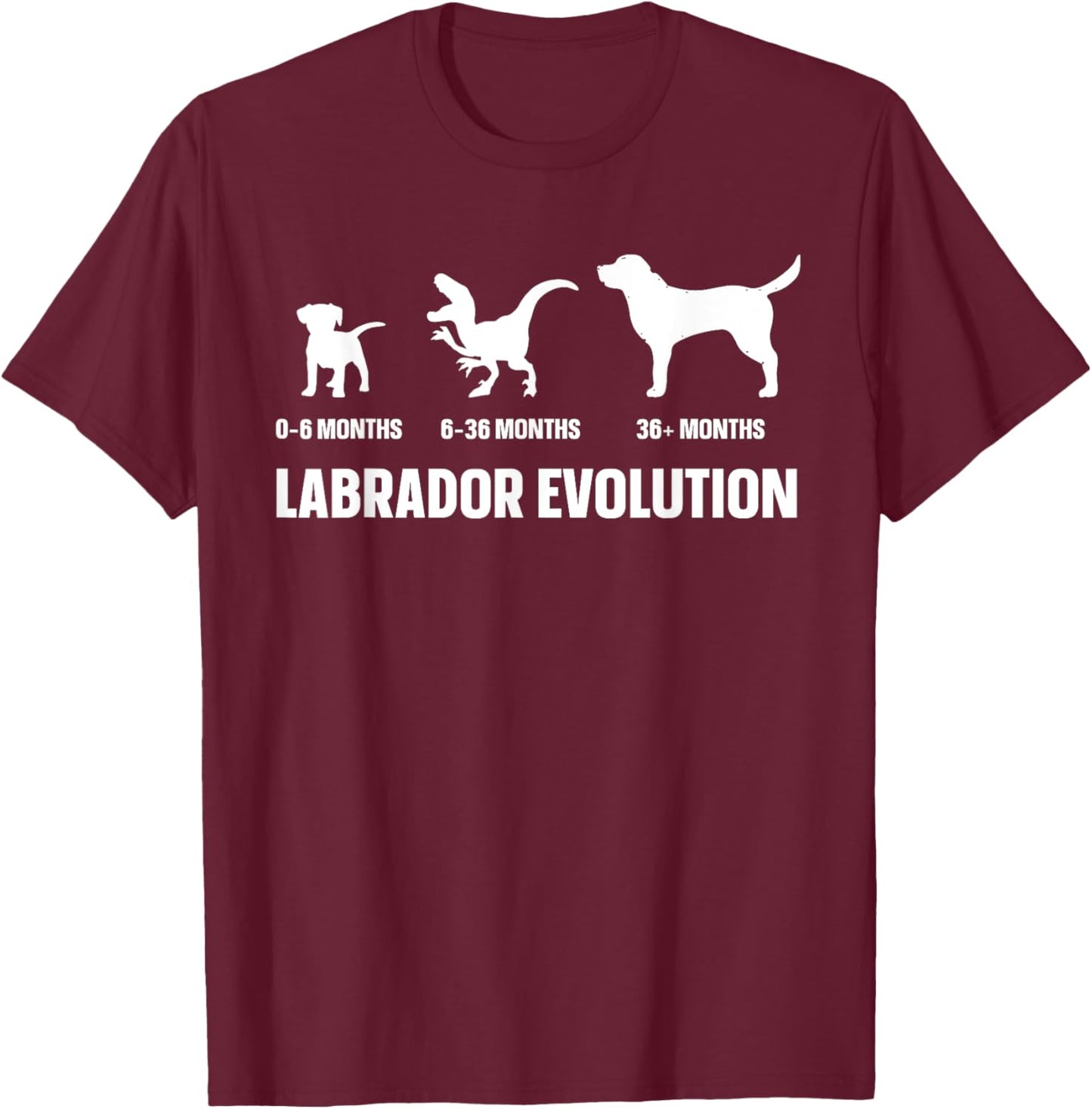 Labrador Evolution Design for a Labrador Owner T-Shirt - T-Shirt | Maroon