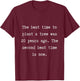 The best time to plant a tree was 20 years ago T-Shirt - T-Shirt | Maroon