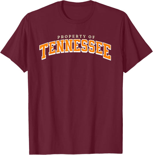 Retro Tennessee TN Orange Vintage Design Classic Tennessee T-Shirt - T-Shirt | Maroon