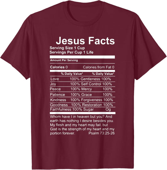 Jesus Facts Religious Studies Catholicism T-Shirt - T-Shirt | Maroon