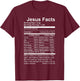 Jesus Facts Religious Studies Catholicism T-Shirt - T-Shirt | Maroon