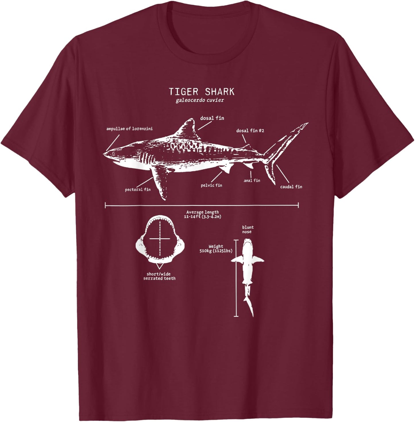 Tiger Shark Anatomy Marine Biologist T-Shirt - T-Shirt | Maroon