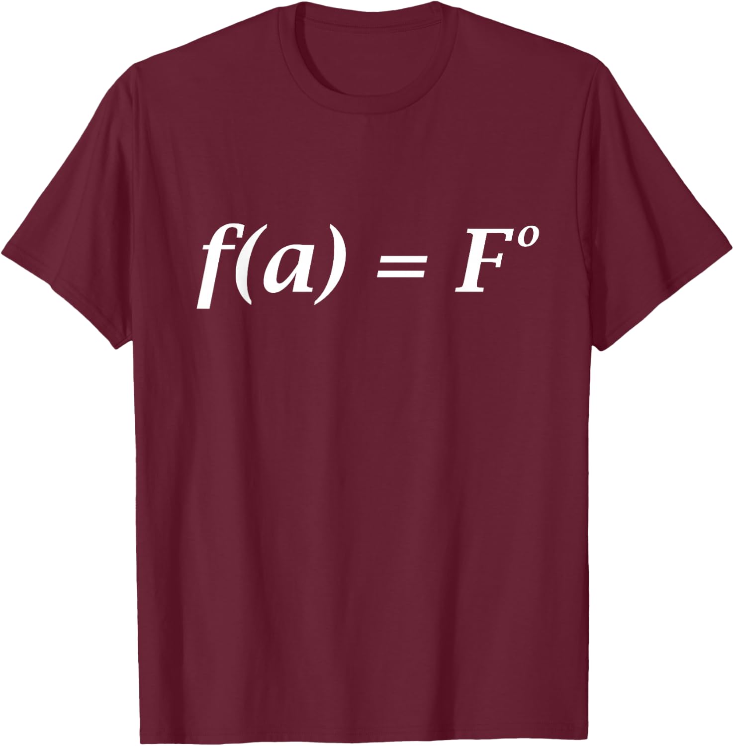 FA Fo Math Equation T-Shirt - T-Shirt | Maroon