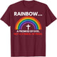 Rainbow A Promise Of God Not A Symbol Of Pride T-Shirt - T-Shirt | Maroon