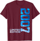 19 Years 19th Birthday Limited Edition 2007 T-Shirt - T-Shirt | Maroon