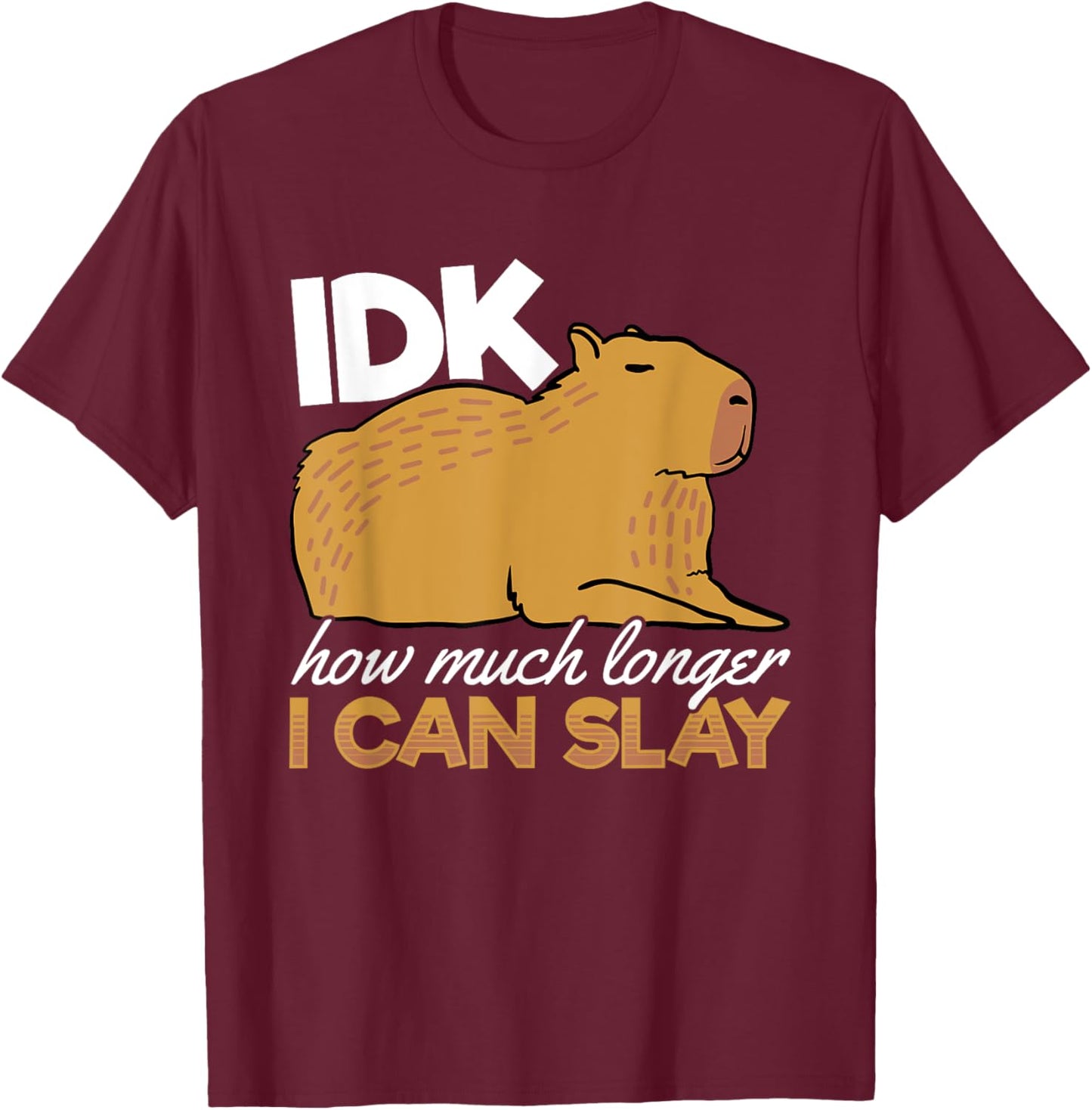 Capybara Animals Pet - idk How Much Longer I Can Slay T-Shirt - T-Shirt | Maroon
