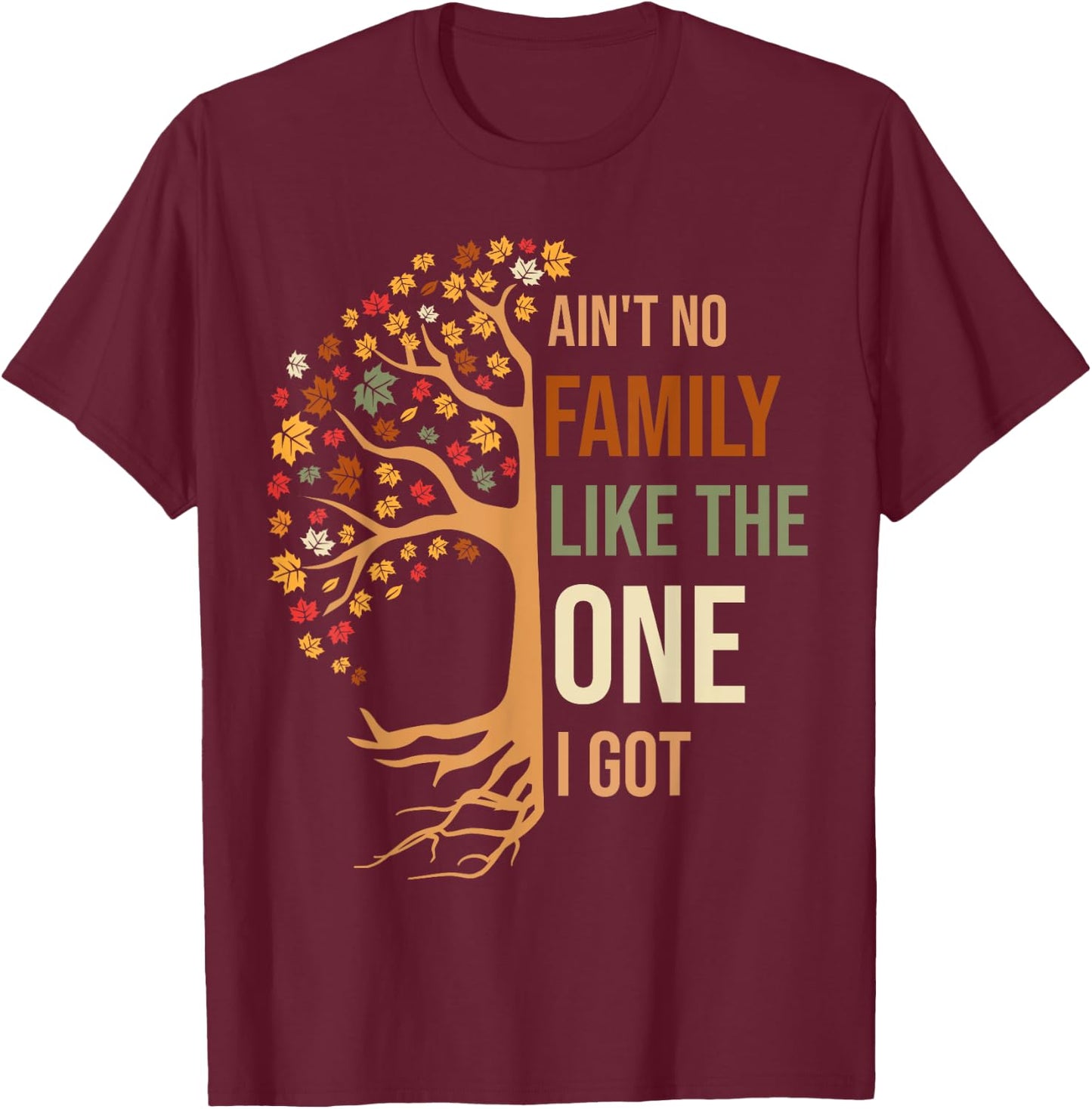 Ain't No Family Like The One I Got Funny Family Reunion 2024 T-Shirt - T-Shirt | Maroon
