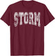 Storm Team Mascot Name Distressed Vintage School Sports Fan T-Shirt - T-Shirt | Maroon