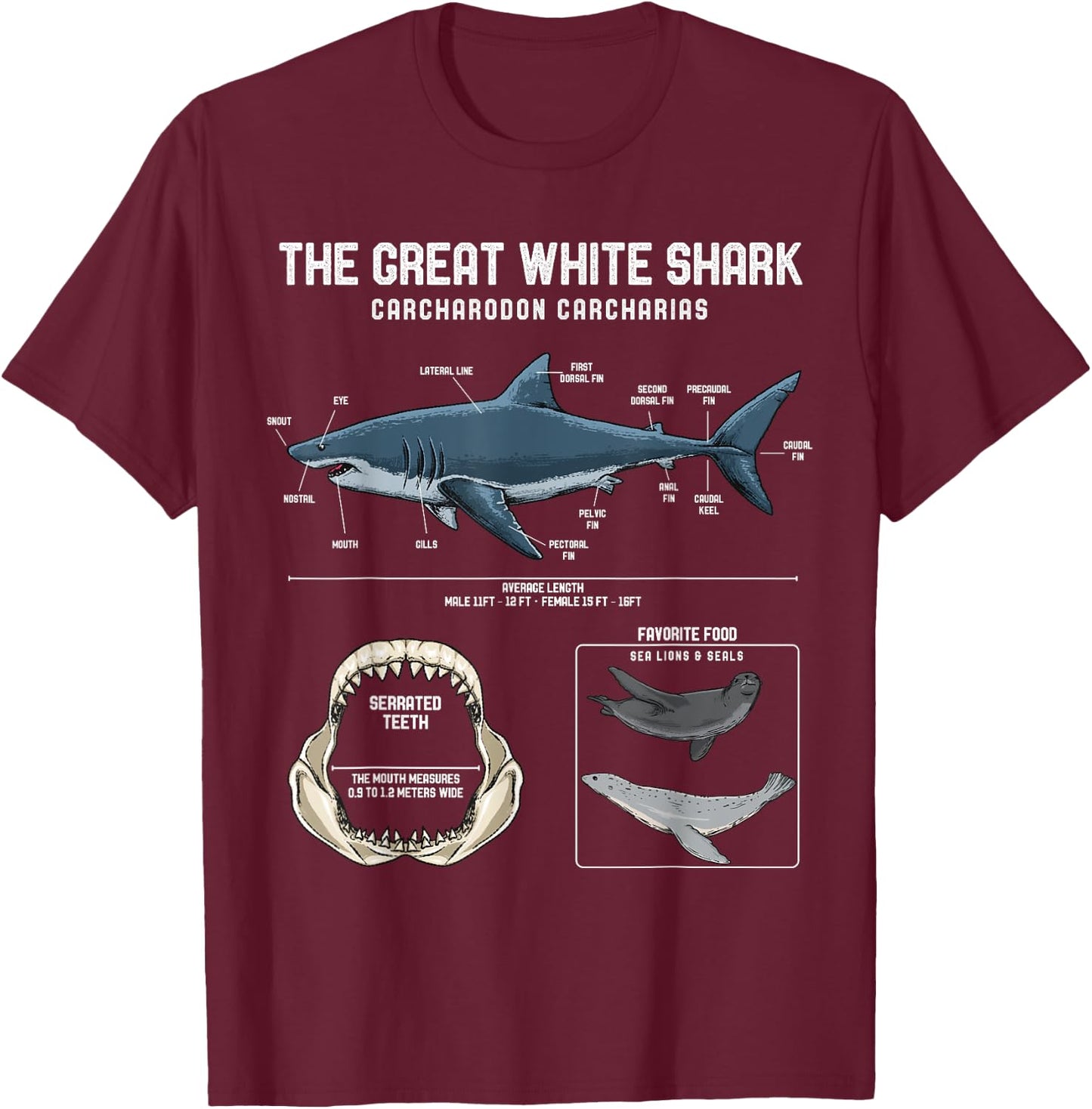 Great White Shark Anatomy Shirt - Shark Marine Biologist T-Shirt - T-Shirt | Maroon