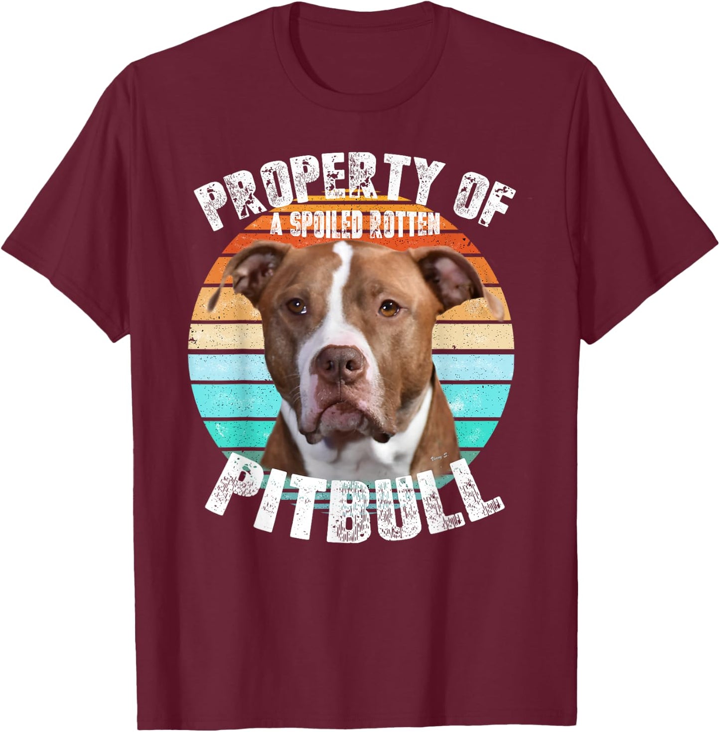 Pit Bull Owner Lover Retro Pitbull T-Shirt - T-Shirt | Maroon