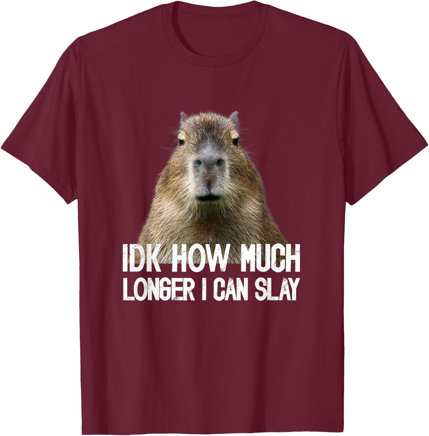 Idk How Much Longer I Can Slay Capybara Sarcastic Dank Meme T-Shirt - T-Shirt | Maroon