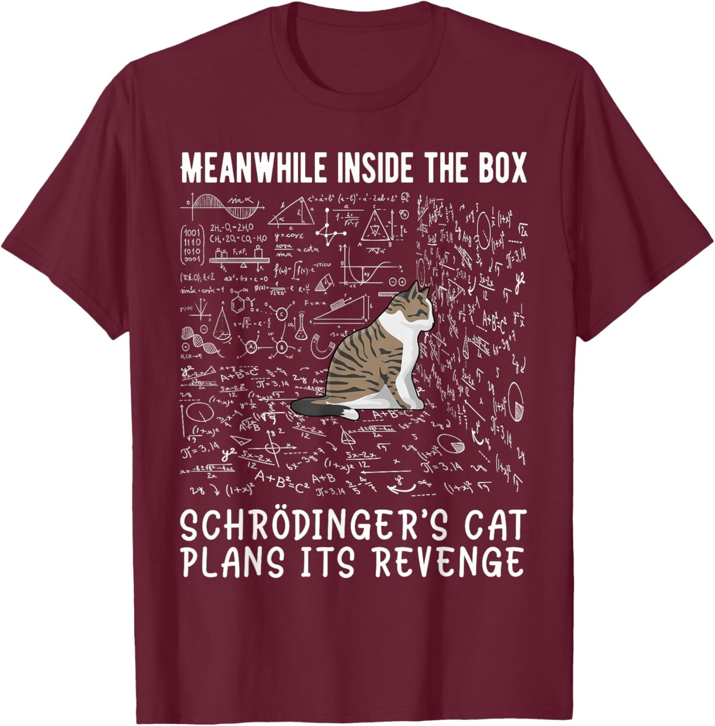 Meanwhile Inside The Box Schrödingers cat Plans its Revenge T-Shirt - T-Shirt | Maroon