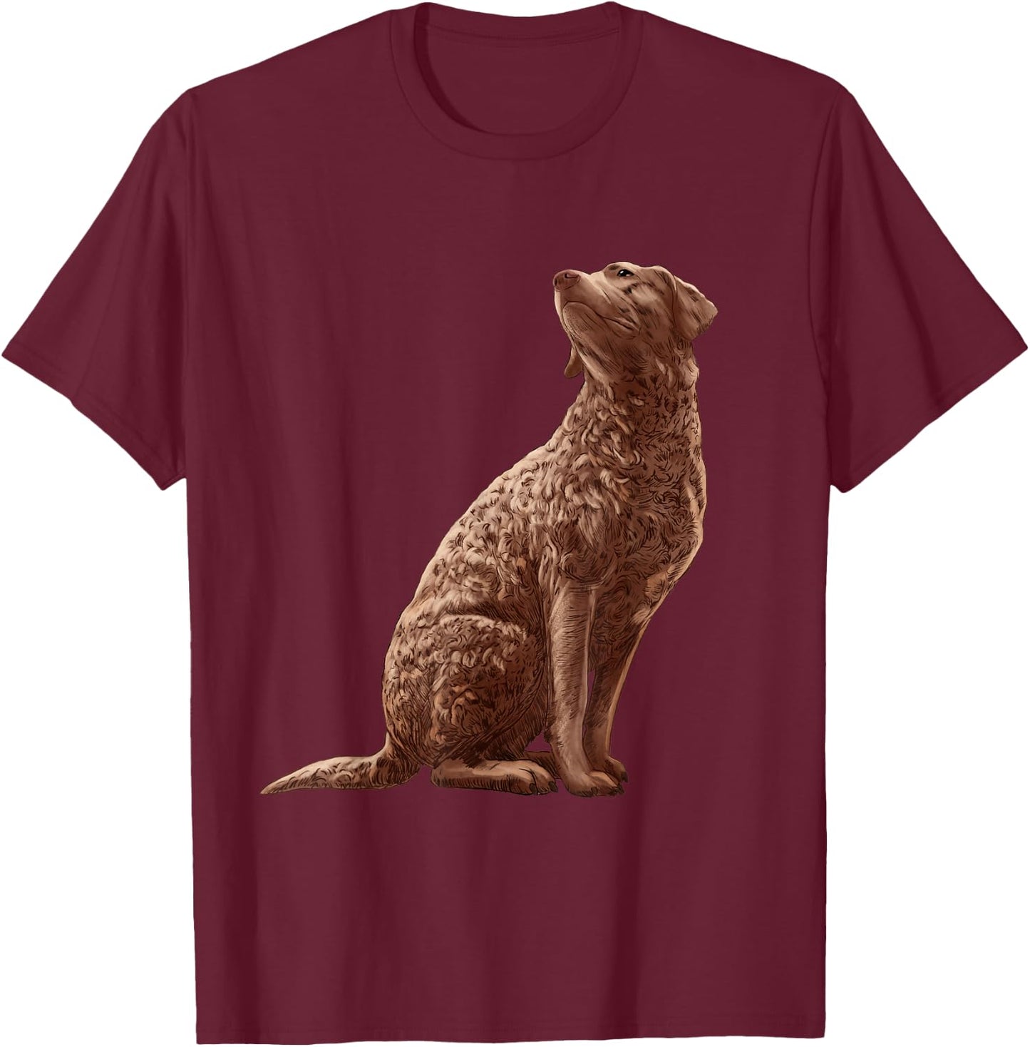 Sitting Dog Chesapeake Bay Retriever T-Shirt - T-Shirt | Maroon