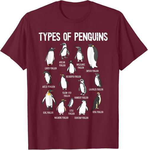 Penguin Types, Penguin Lover Art, Bird Lover, Penguin