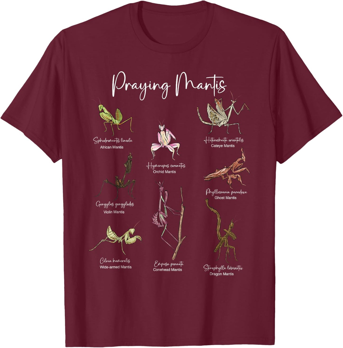 Types Of Praying Mantis Insect Collector Entomologist T-Shirt - T-Shirt | Maroon